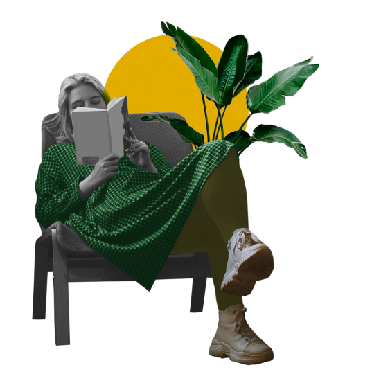 imagen de la sección